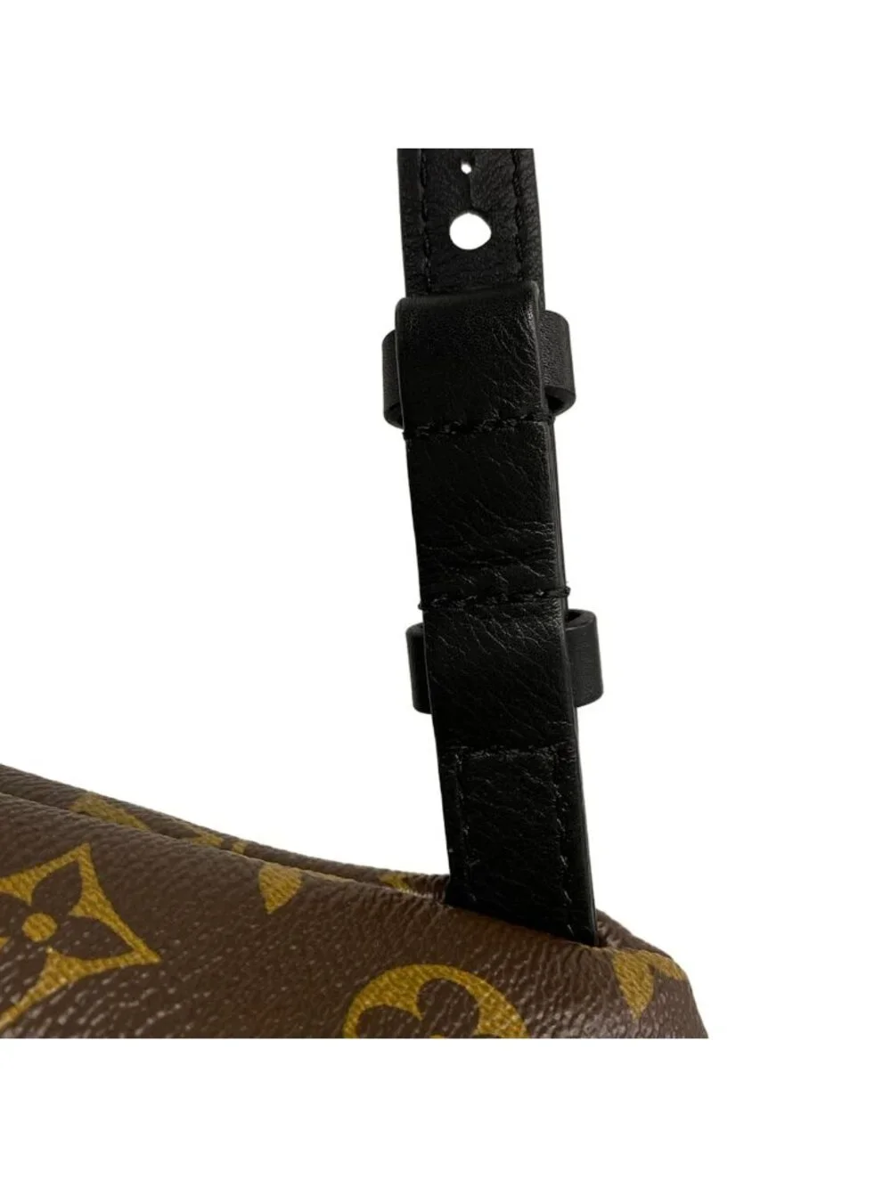 Louis Vuitton Backpack Monogram Palm Springs PM